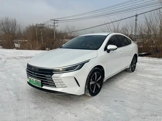 BYD DESTROYER 05 2024