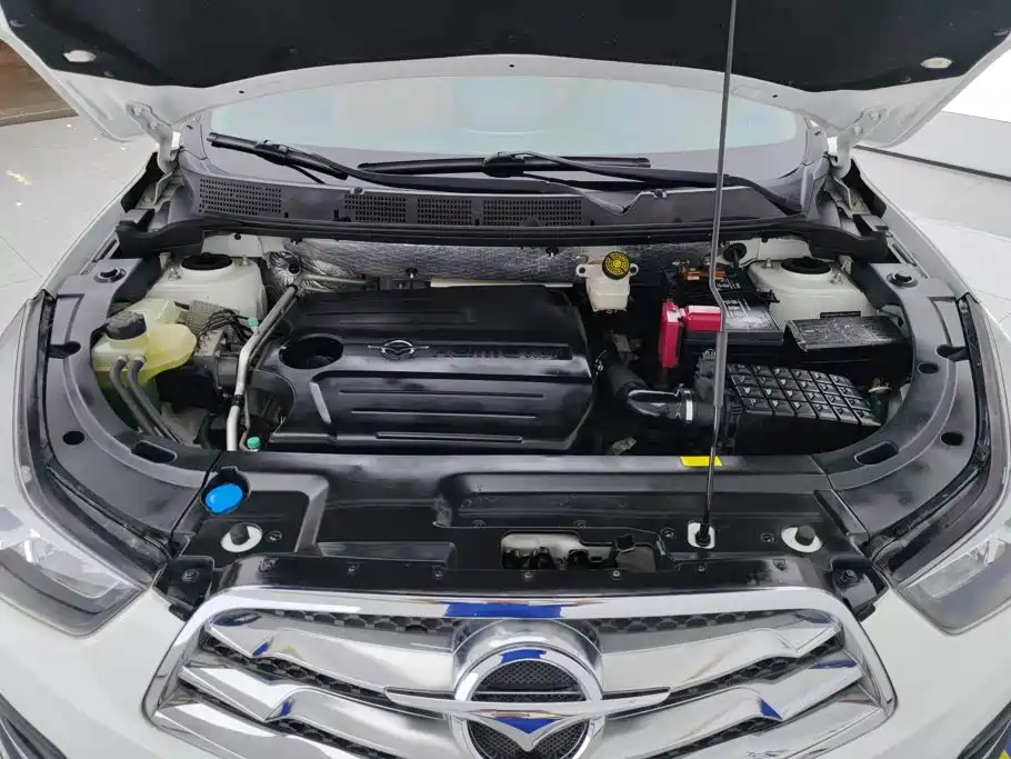 Haima Haima S5 — миниатюра 10