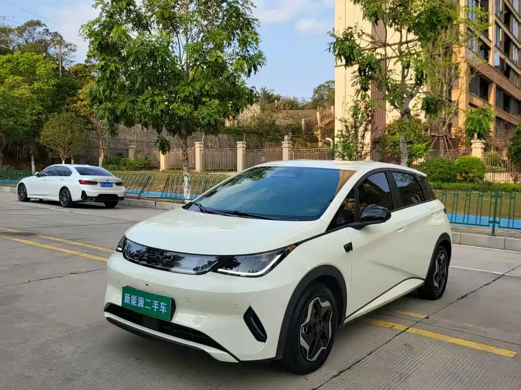 Byd Dolphin 2025