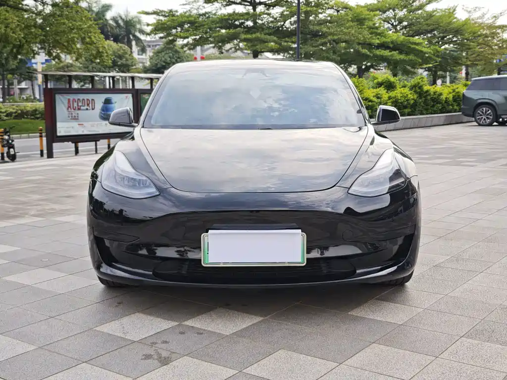 Tesla Model 3 — миниатюра 2
