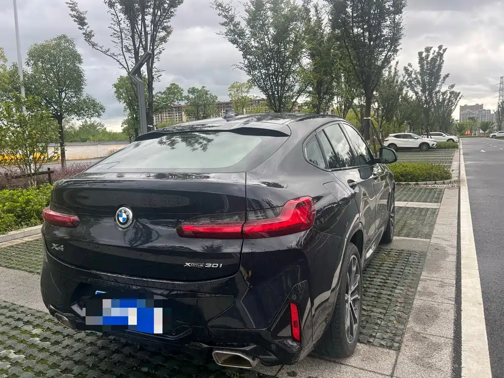 BMW X4 — миниатюра 3
