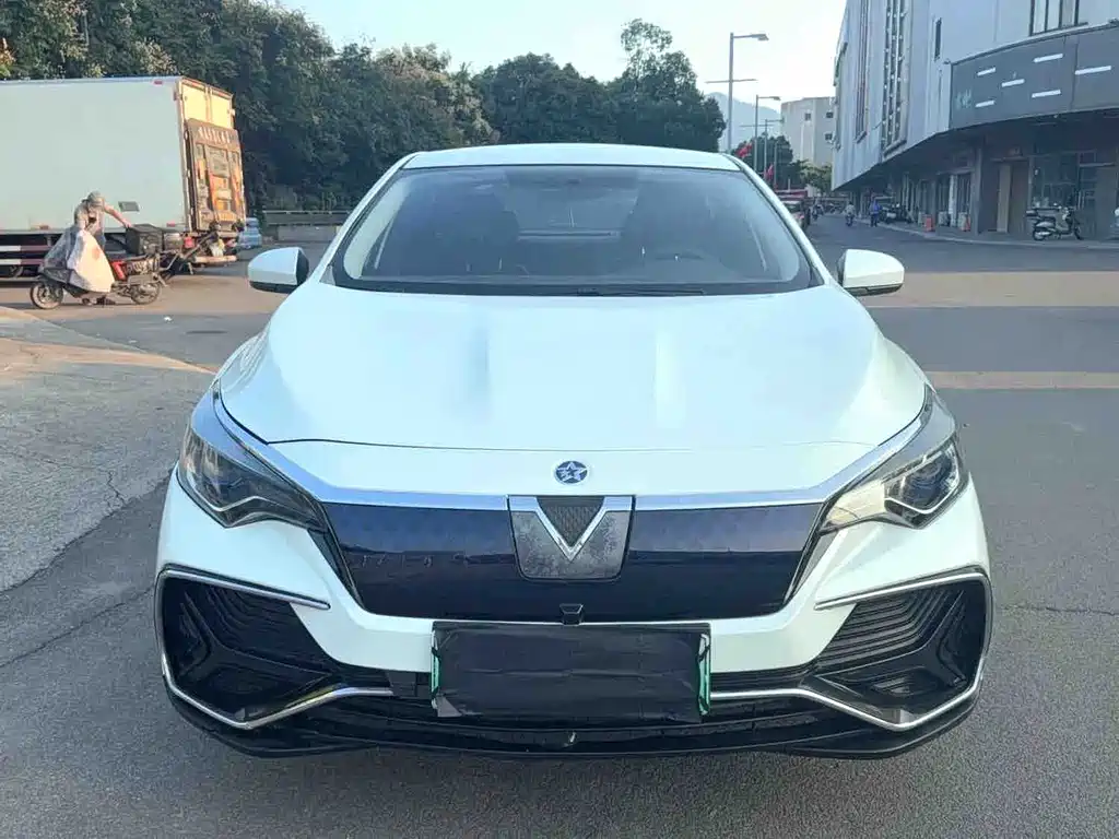 Venucia D60 EV — миниатюра 2