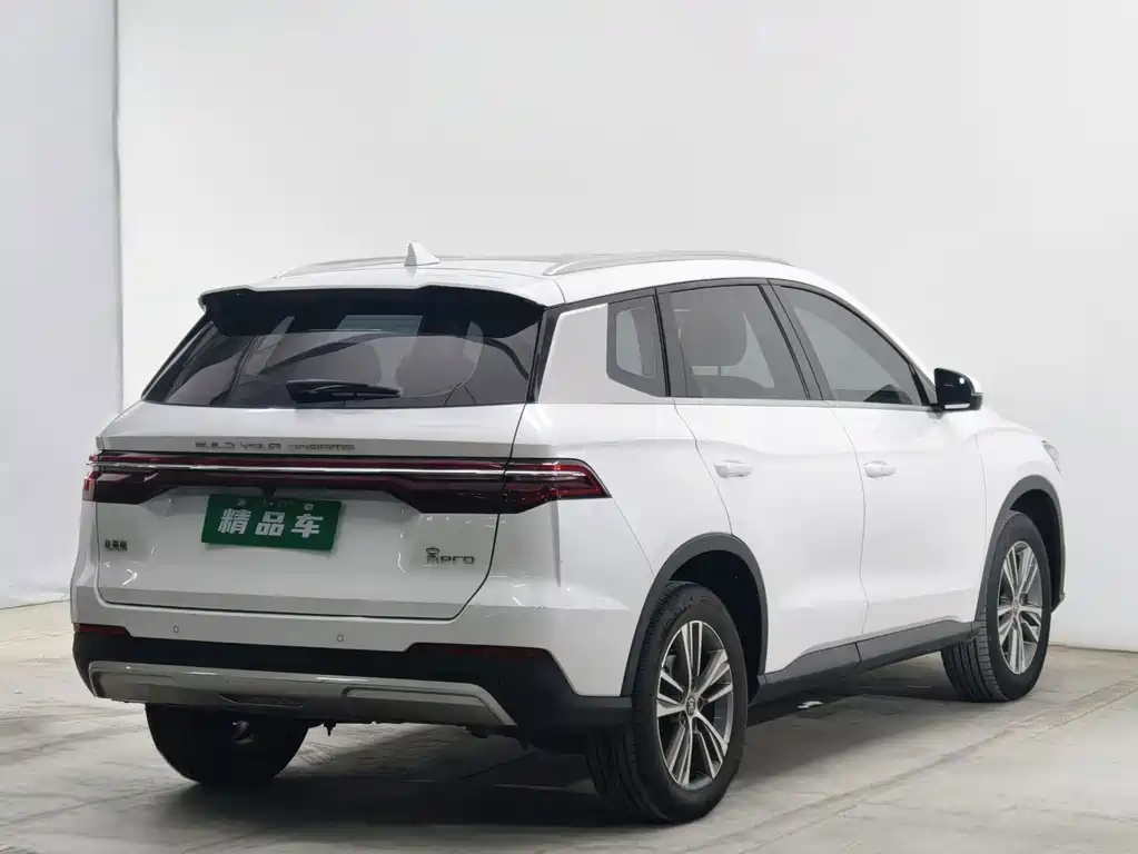 BYD Pro — миниатюра 4