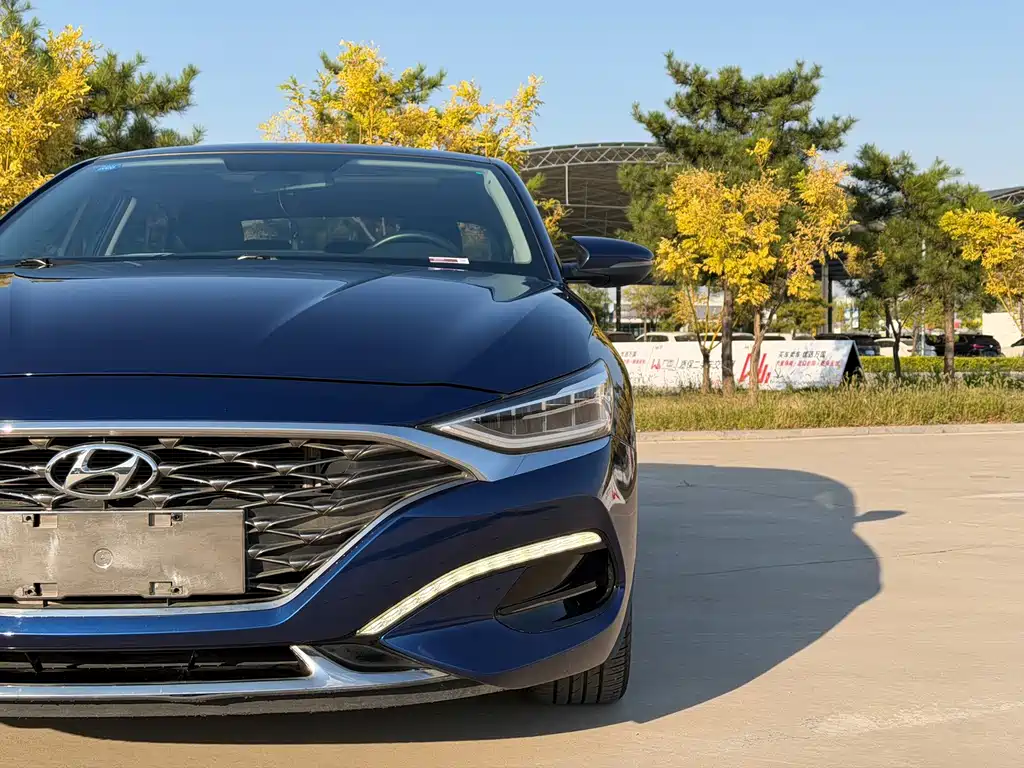 Hyundai Fista — миниатюра 2