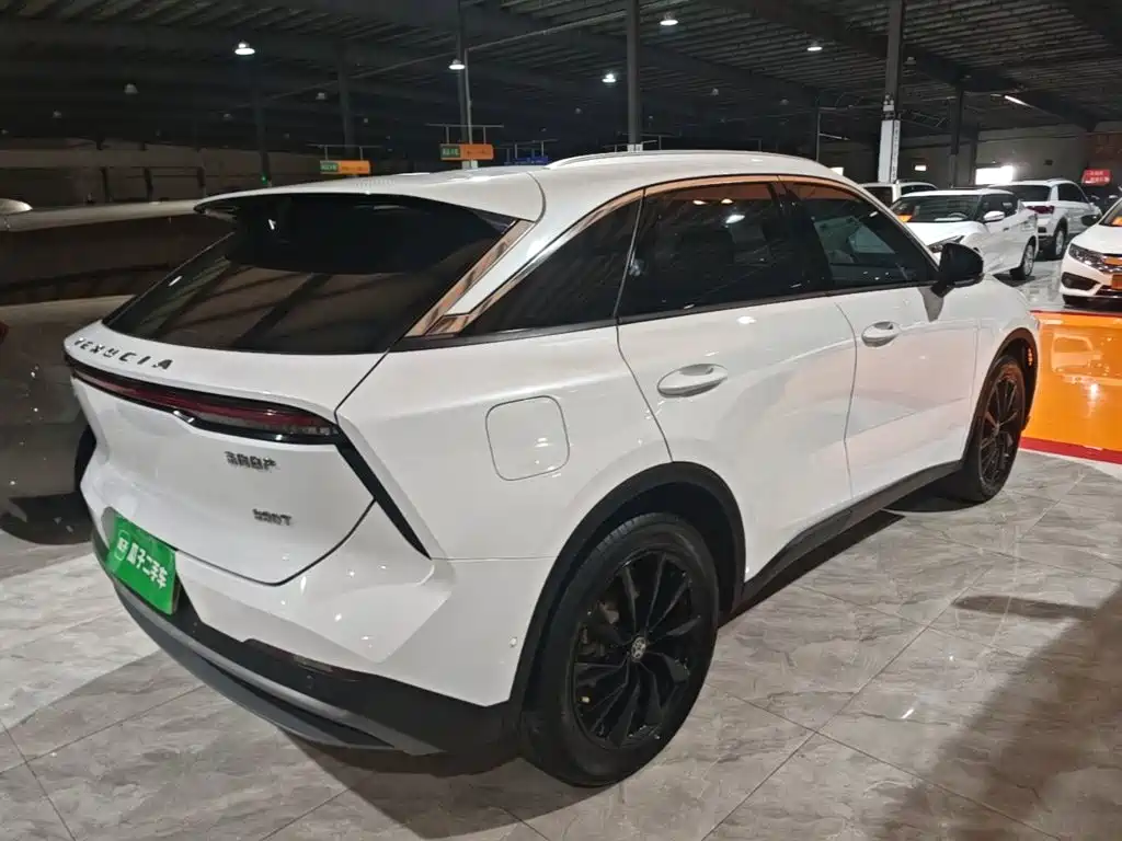 Venucia V — миниатюра 7