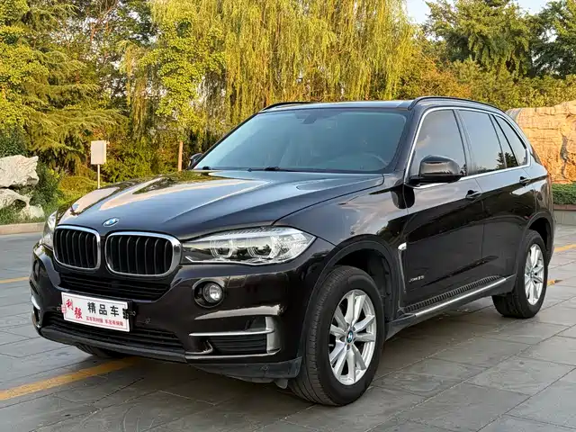 BMW X 5 2014 x Drive 35i Leading — фото 1