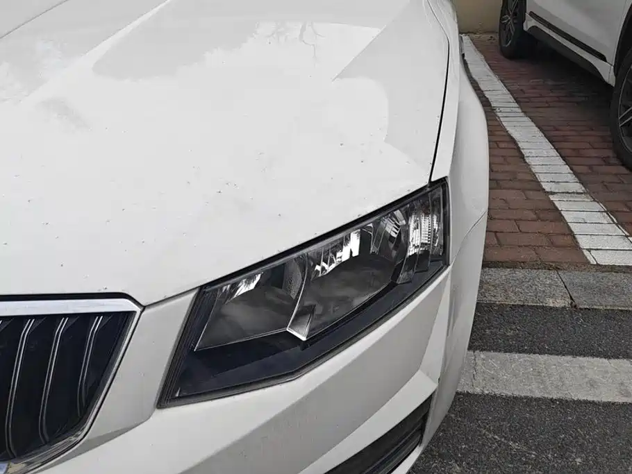 Skoda Octavia — миниатюра 5