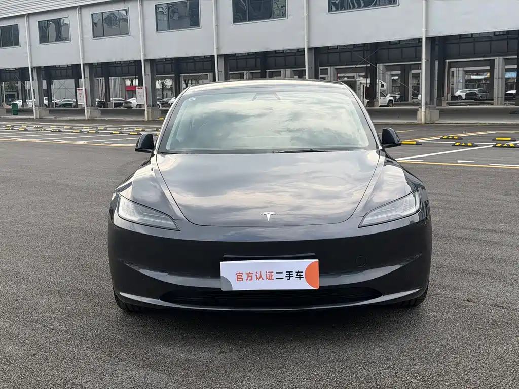 Tesla Model 3 — миниатюра 2