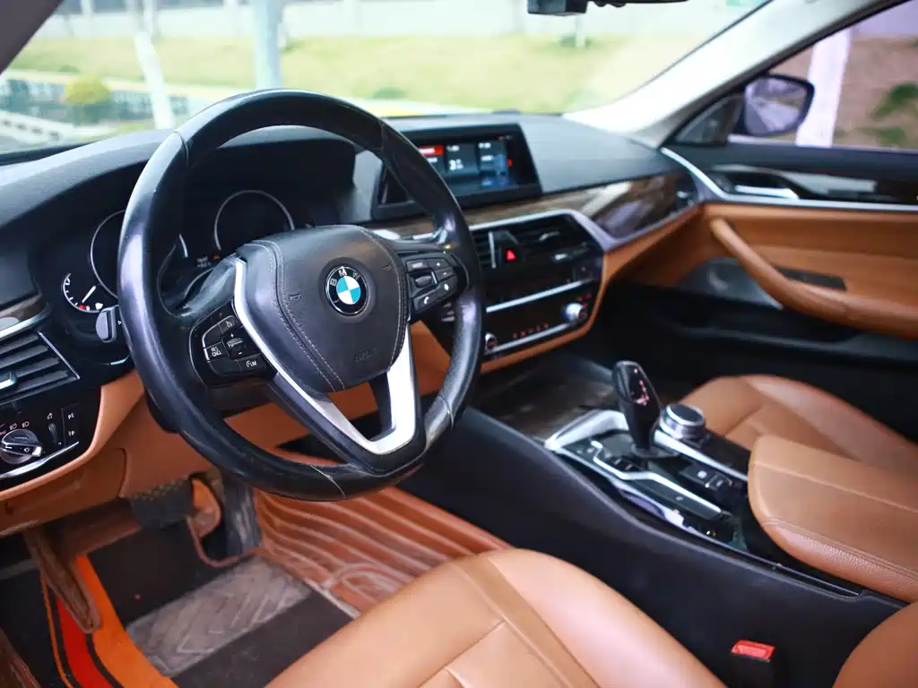 BMW 5 Series 5 2018 528Li