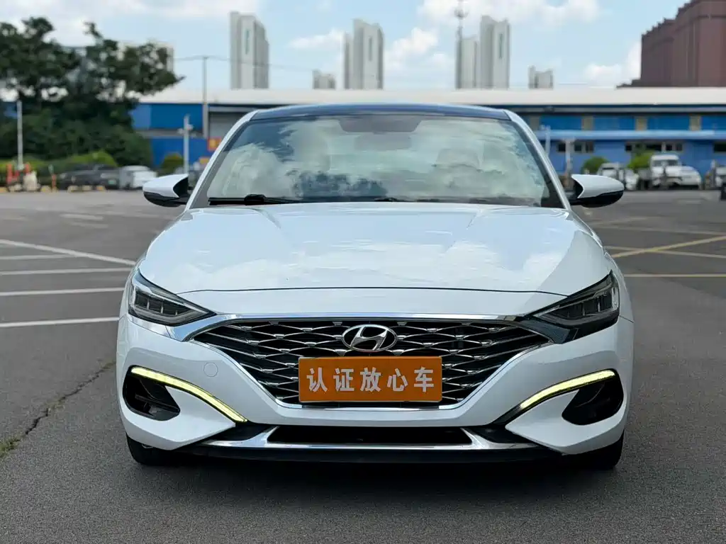 Hyundai Fista — миниатюра 2