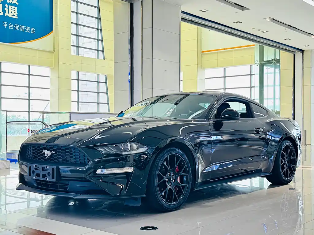 Ford Mustang — миниатюра 16