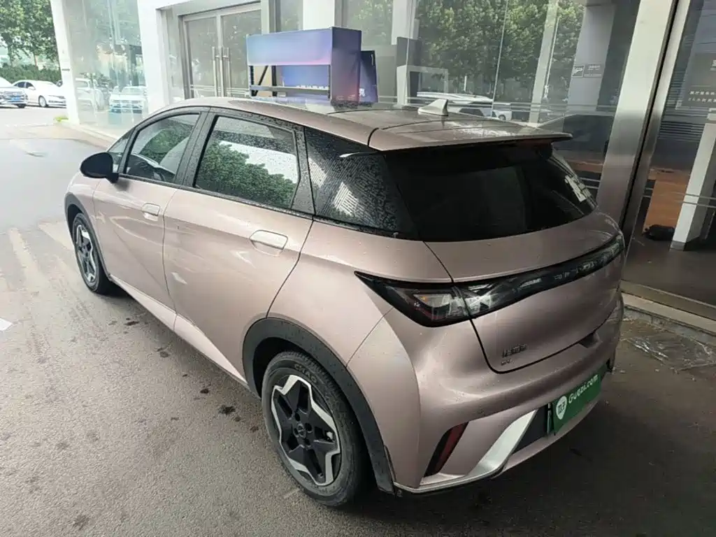 BYD Dolphin 2021 405km Fashion
