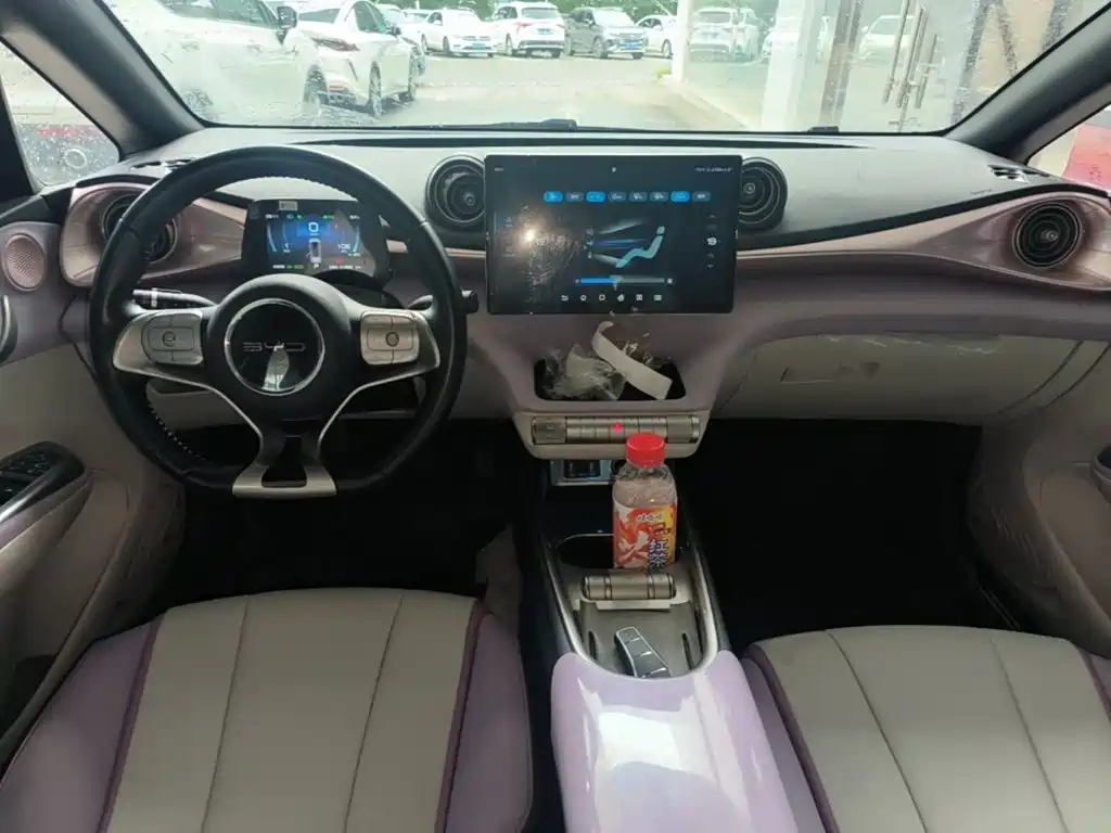 BYD Dolphin 2021 405km Fashion
