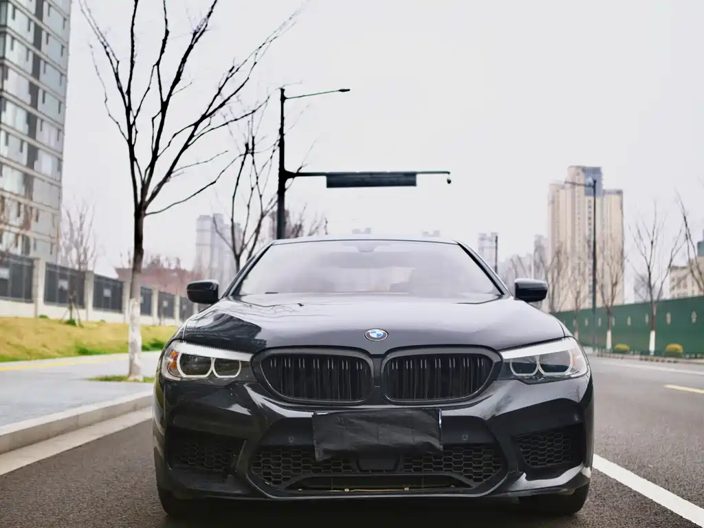BMW 5 Series 5 2018 528Li