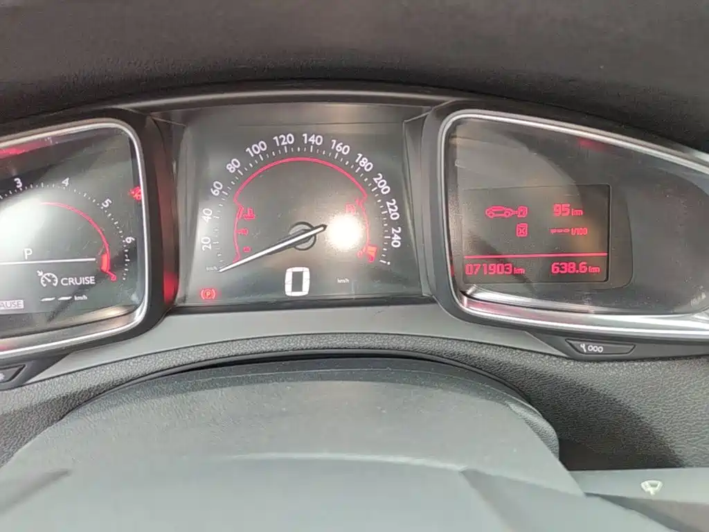 DS DS 5LS — миниатюра 12