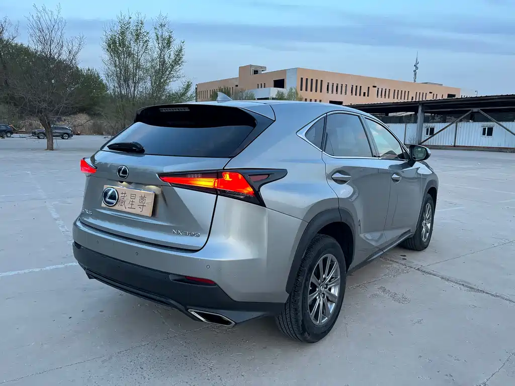 Lexus NX — миниатюра 41