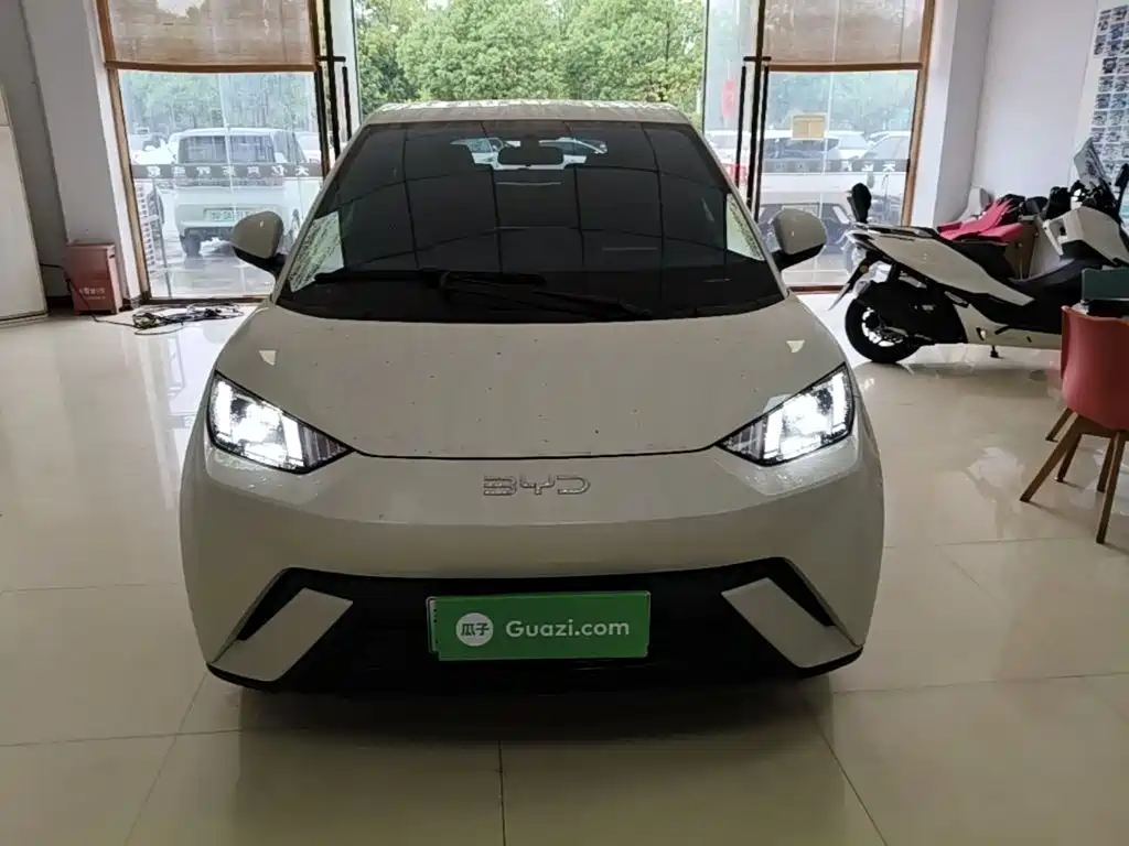 BYD Seagull 2025 305km Freedom