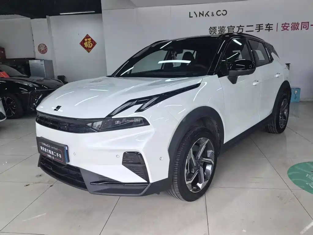 LYNK 06