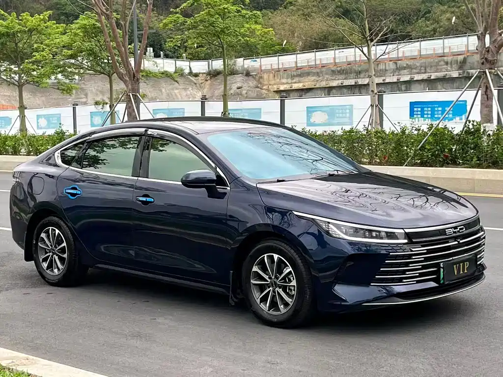 BYD Destroyer 05 2024 DM-i 55KM Luxury