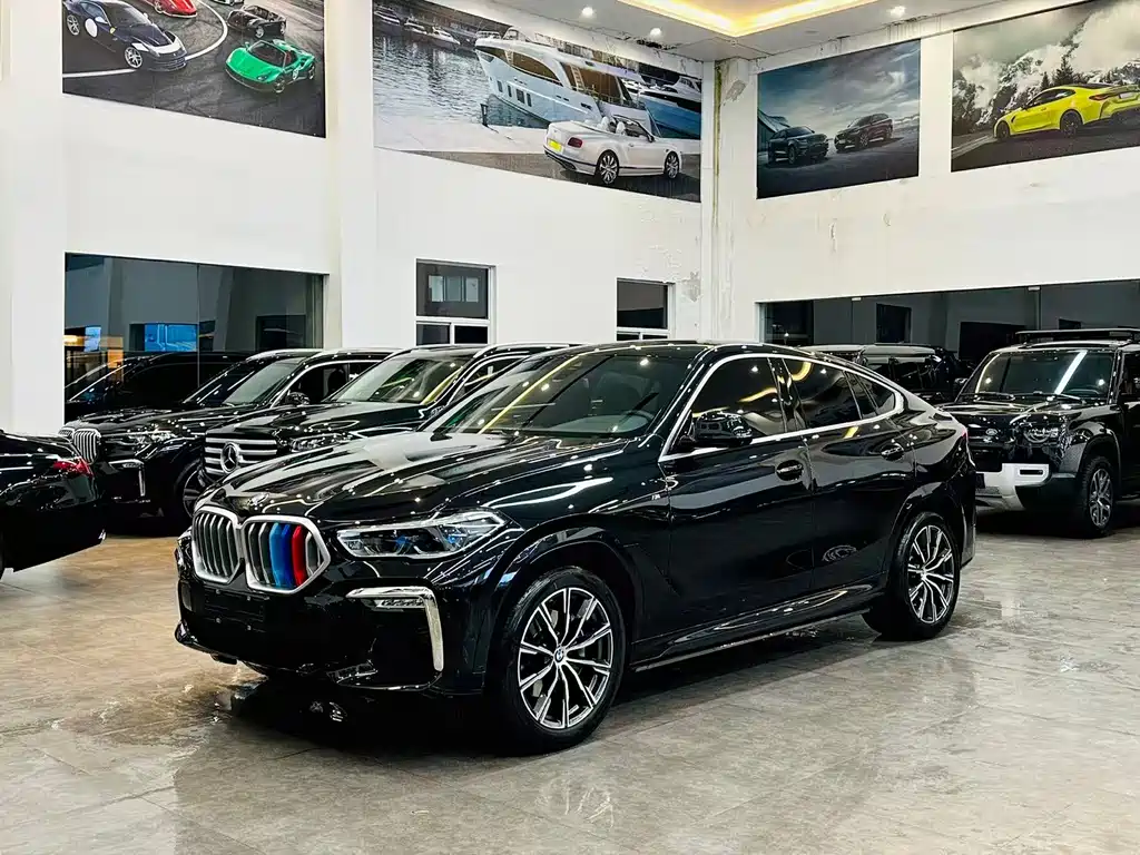 BMW X6 2021