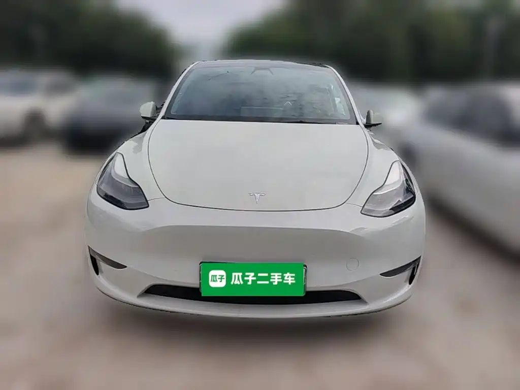 Tesla Model Y — миниатюра 5