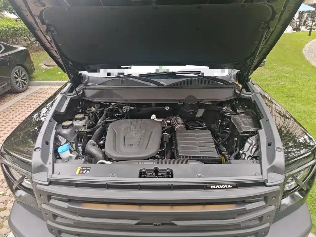Haval Menglong New Energy — миниатюра 16