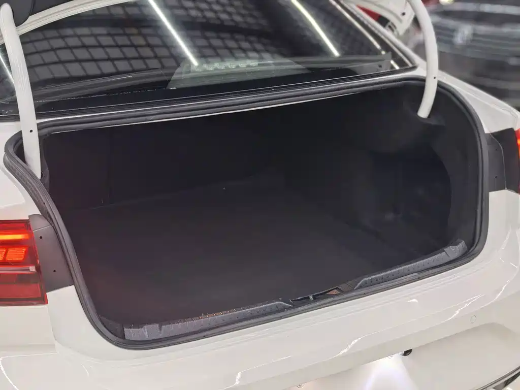 Volkswagen Lamando — миниатюра 14