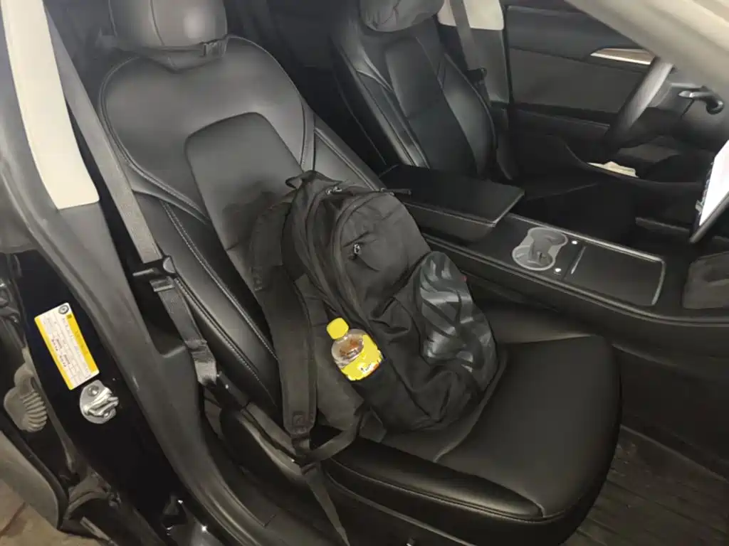 Tesla Model 3 — миниатюра 25