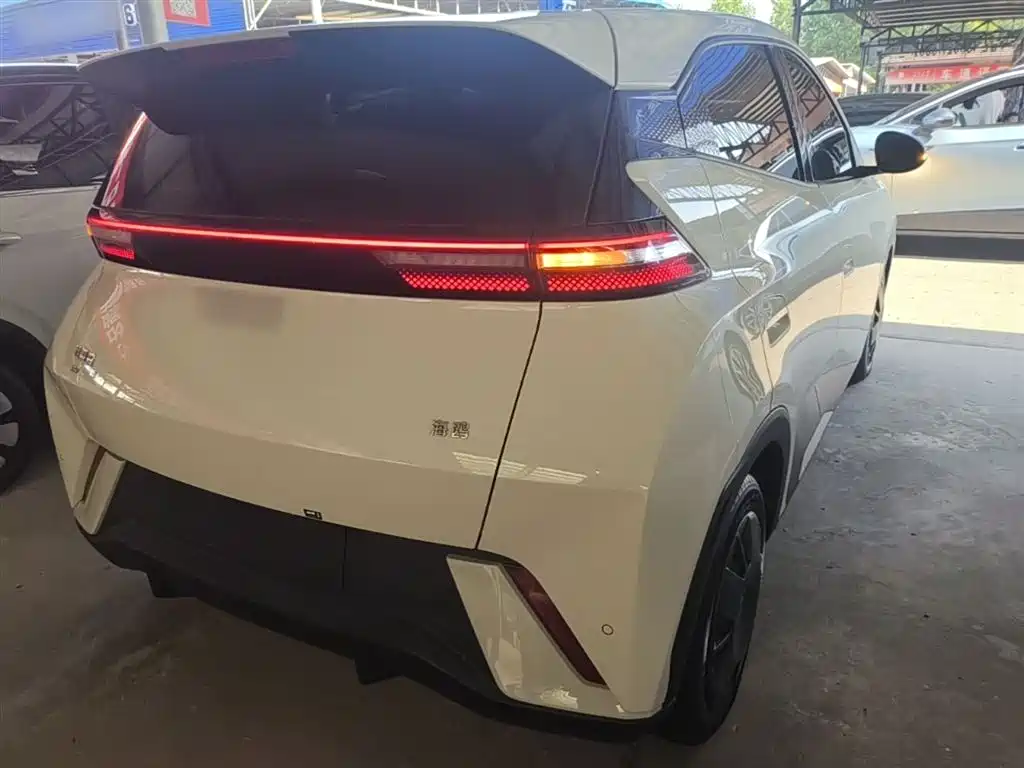 BYD Seagull 2024 305km