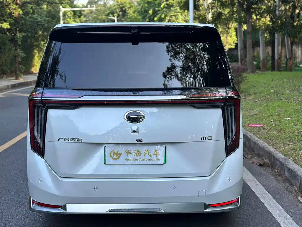 GAC Motor Trumpchi Xiangwang M8 — миниатюра 7