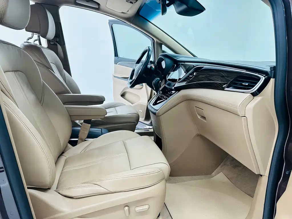 Buick GL8 — миниатюра 10