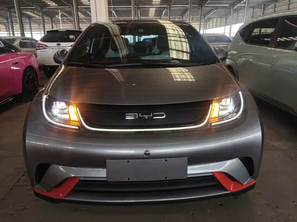 BYD Dolphin — миниатюра 3