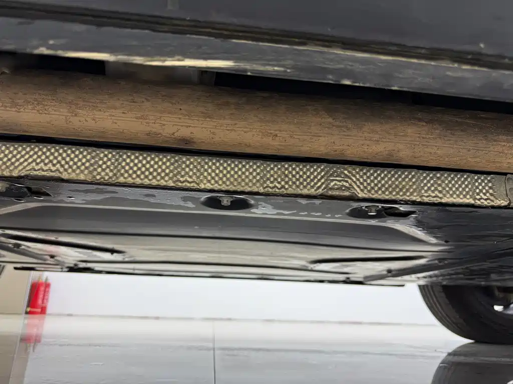 FANG CHENG BAO LEOPARD 5