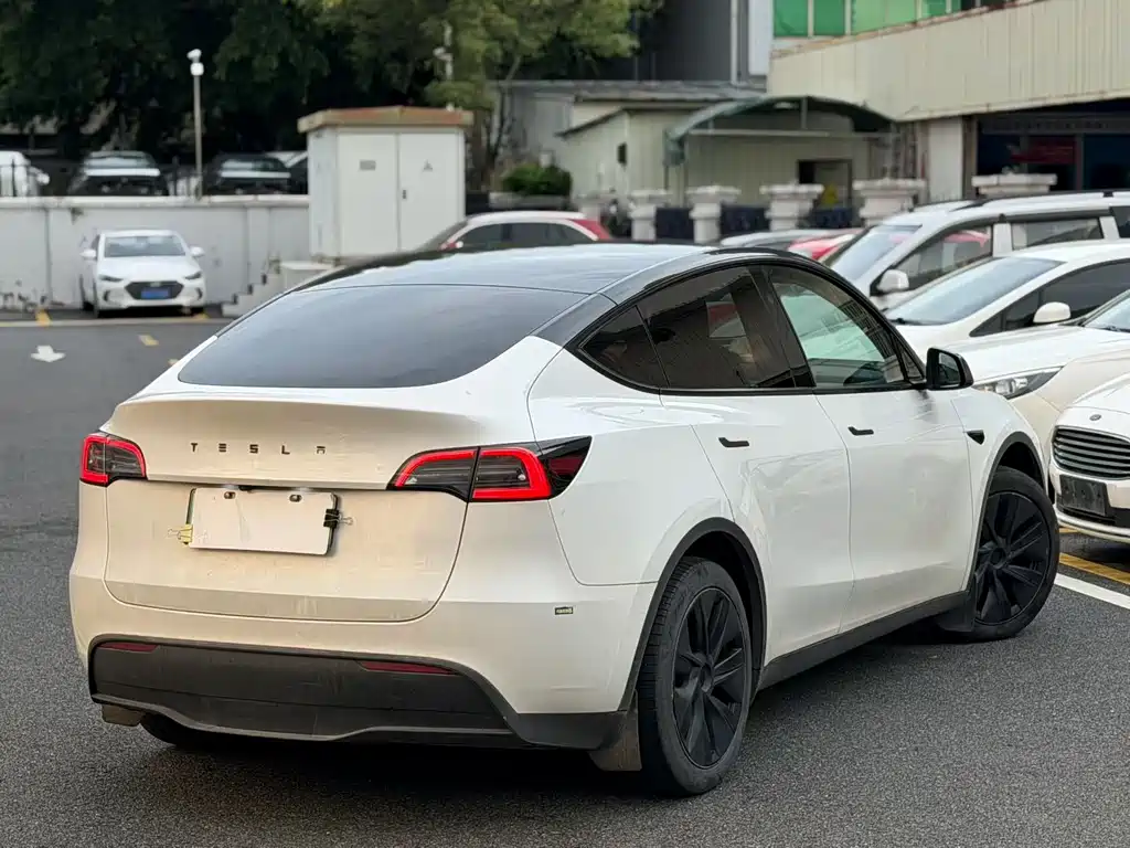 Tesla Model Y — миниатюра 18