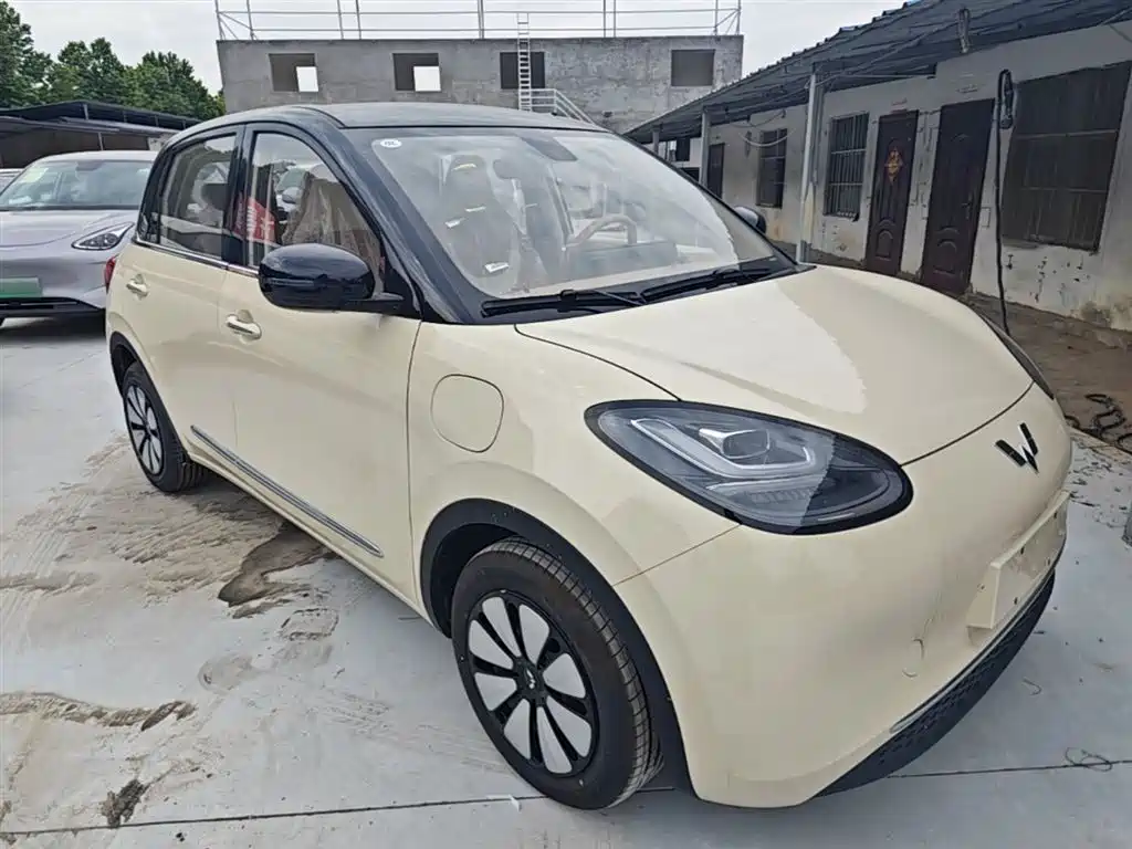 Wuling Binguo 2025 333km Enjoy