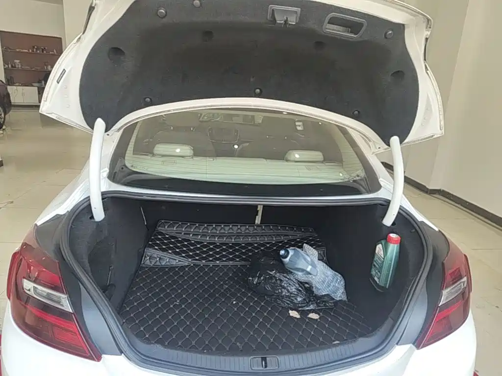 Buick Regal — миниатюра 19