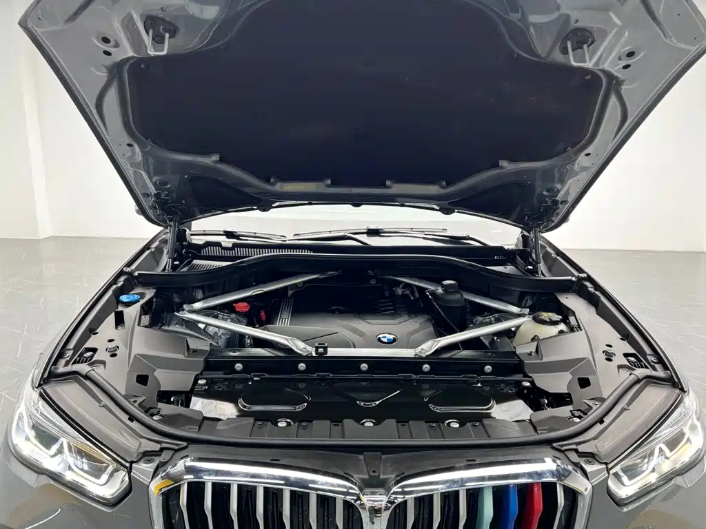 BMW X5 — миниатюра 24