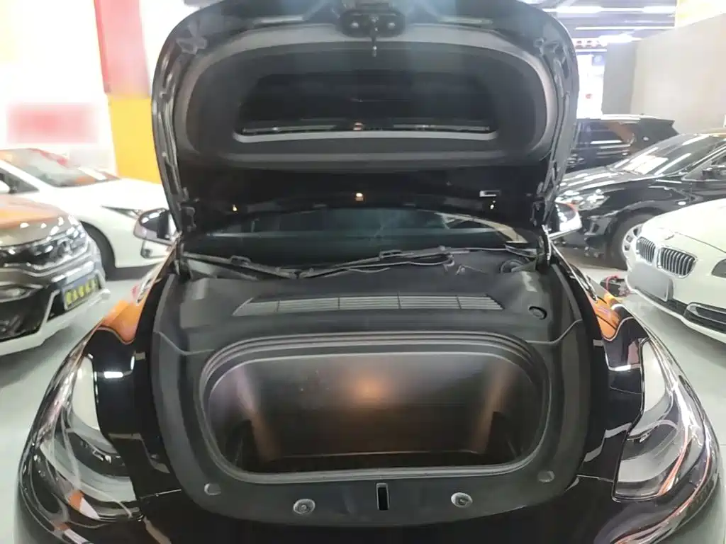 Tesla Model Y — миниатюра 20