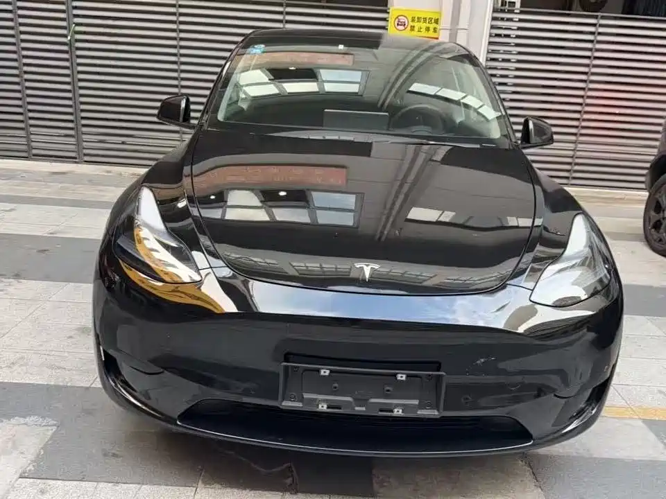 Tesla Model Y — миниатюра 2