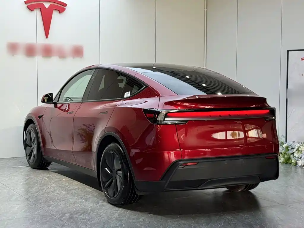 Tesla Model Y — миниатюра 5