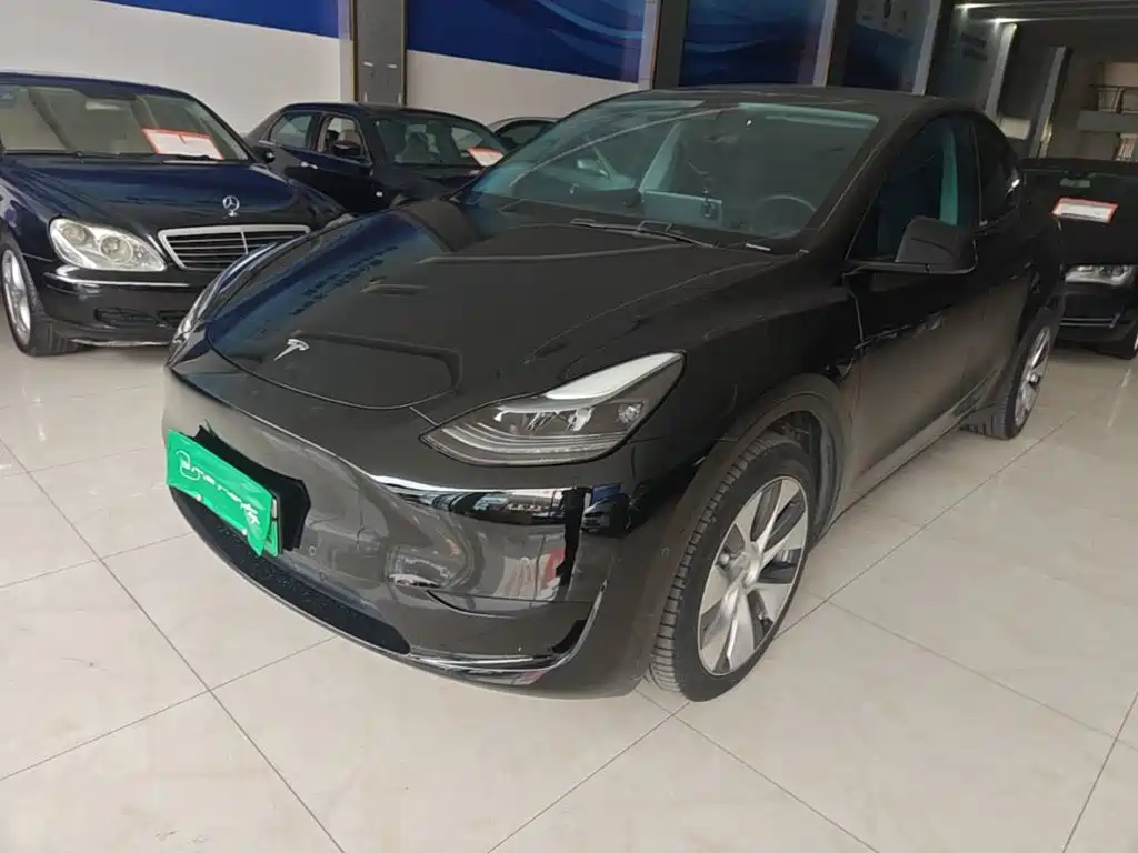 Tesla Model Y — миниатюра 2