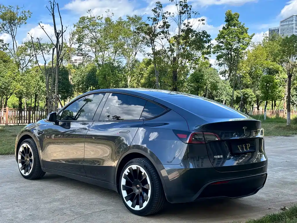 Tesla Model Y — миниатюра 9