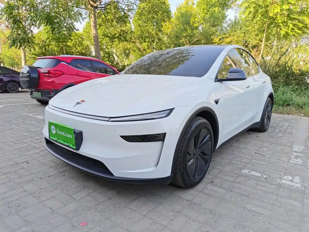 Tesla Model Y — миниатюра 2