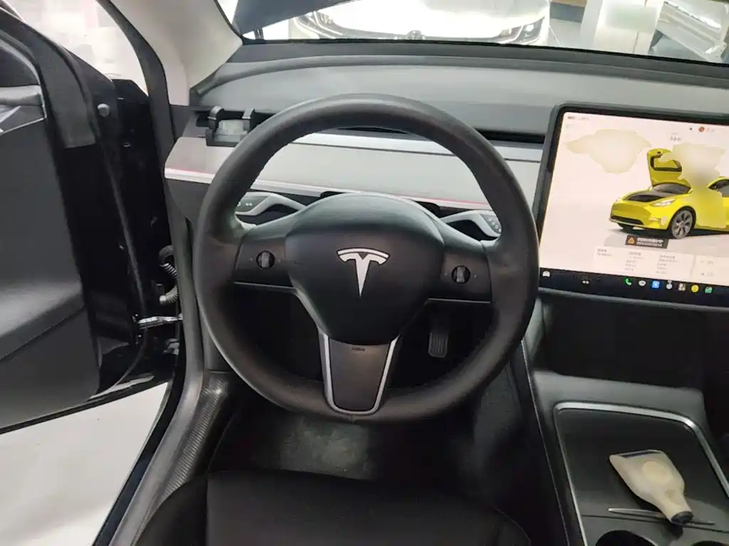 Tesla Model Y — миниатюра 11