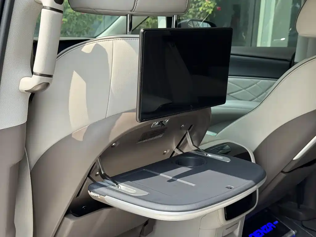 Denza Denza D9 — миниатюра 11