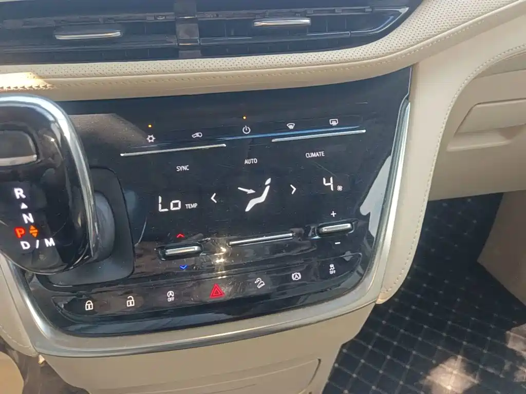 Buick GL8 — миниатюра 13