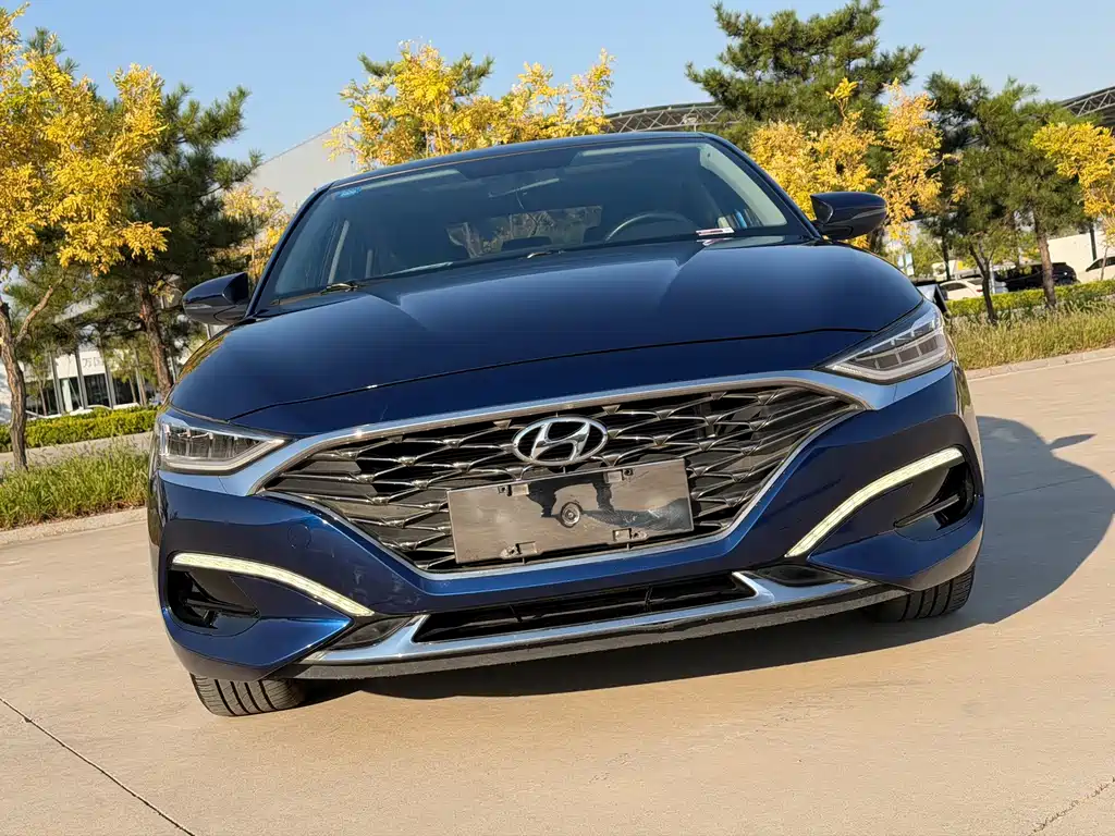 Hyundai Fista — миниатюра 4