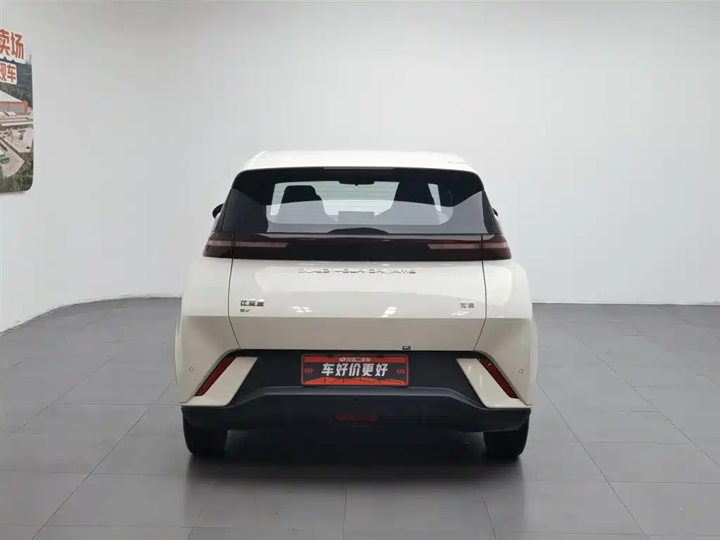 BYD Seagull