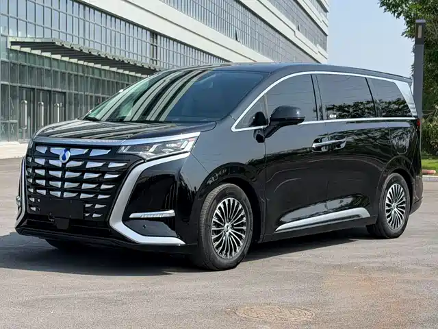 2024 Denza D9