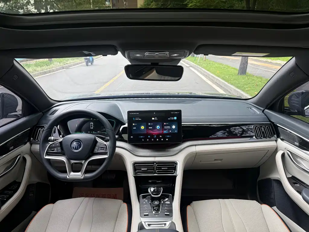 BYD PLUS New Energy — миниатюра 8